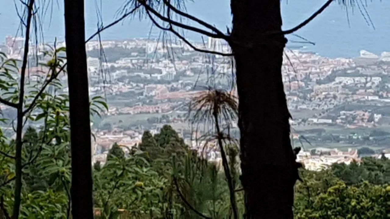 Finca La Casita La Orotava Espagne