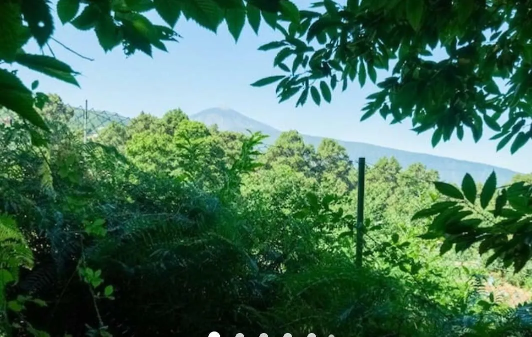 Finca La Casita La Orotava Hébergement de vacances