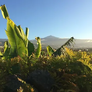  Hébergement de vacances La Plantacion _agroturismo